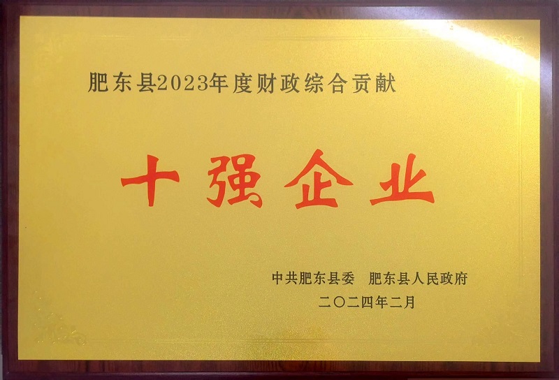 肥東縣2023年度財政綜合貢獻(xiàn)十強(qiáng)企業(yè)